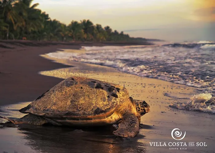 Villa Luxury Ocean View Villa, Breakfast, Shuttle & 5-Star Service Included Sámara