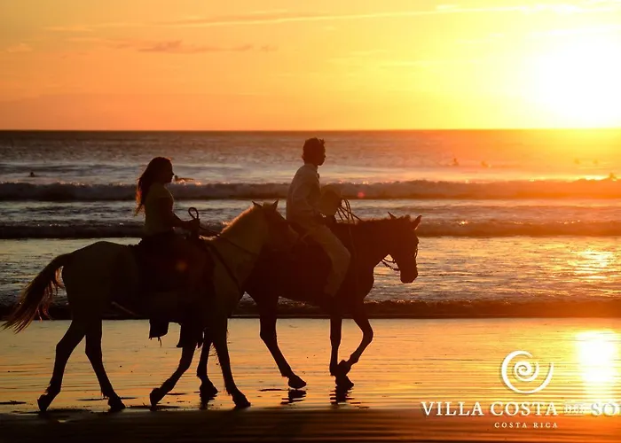 Luxury Ocean View Villa, Breakfast, Shuttle & 5-Star Service Included